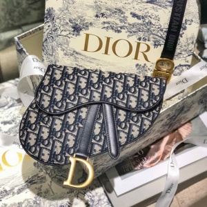 精仿Dior马鞍腰包一比一迪奥女包addle 系列时尚斜跨包