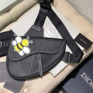 原单Dior迪奥Kaws合作款Homme Saddle Bag蜜蜂图案胸包